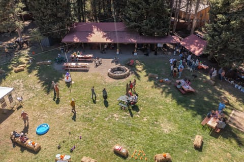 Fire Pit and Outdoor Area