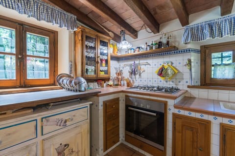 Autumn, Kitchen, Spring, Summer