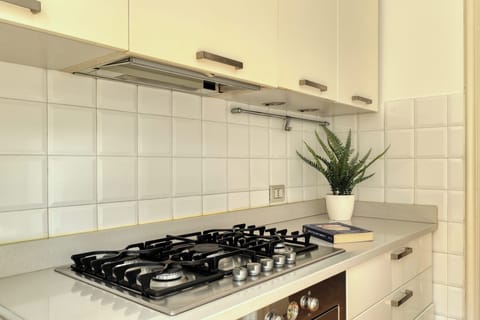 Standard Apartment | Private kitchen