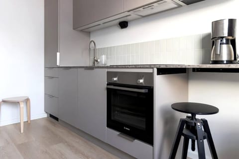 Basic Apartment, City View | Private kitchen | Fridge, oven, stovetop, dishwasher