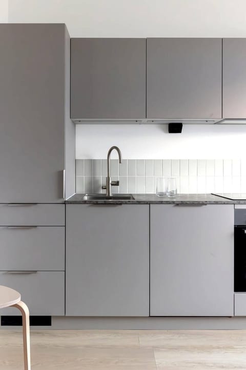 Basic Apartment, City View | Private kitchen | Fridge, oven, stovetop, dishwasher