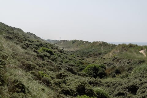 Surroundings [summer] (1-5 km)