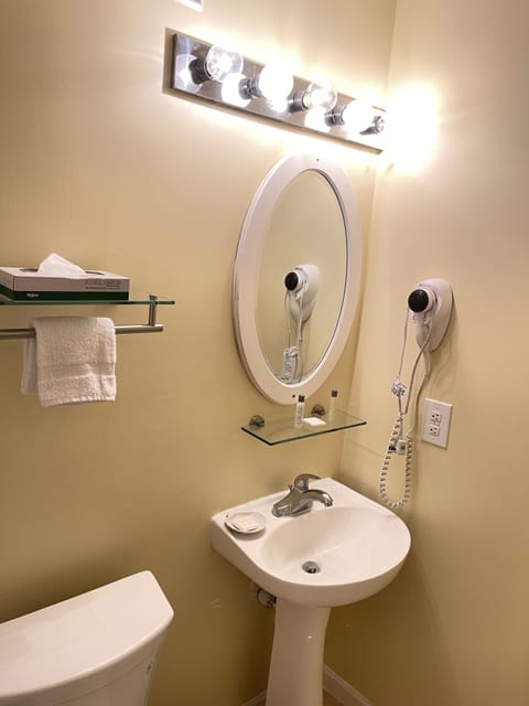 Combined shower/tub, free toiletries, hair dryer, towels