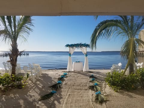 Outdoor wedding area