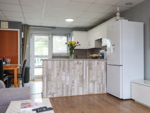 Fridge, cookware/dishes/utensils