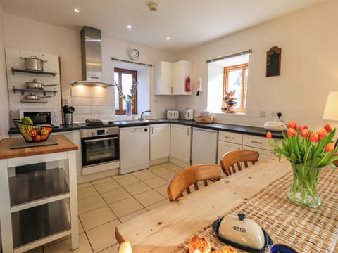 Fridge, dishwasher, electric kettle, toaster