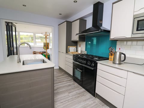 Fridge, dishwasher, electric kettle, toaster