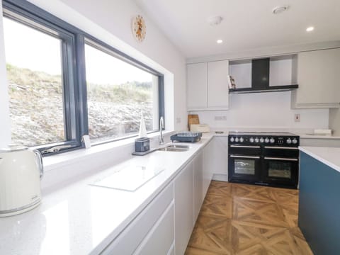 Fridge, dishwasher, electric kettle, toaster