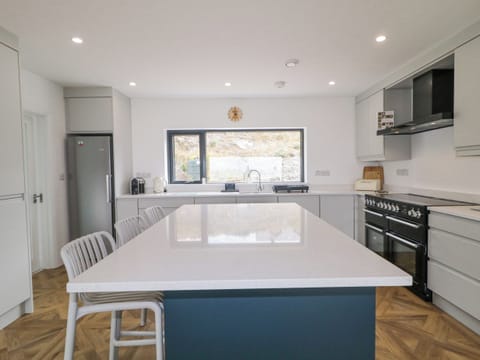 Fridge, dishwasher, electric kettle, toaster