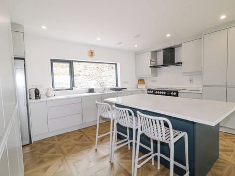 Fridge, dishwasher, electric kettle, toaster