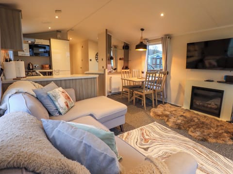 Video-game console, DVD player