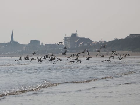 Cottage | Miscellaneous