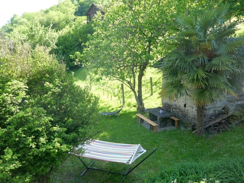 Shrub, Garden, Backyard, Lawn, Shade, Landscaping, Yard, Outdoor Furniture, Botanical Garden