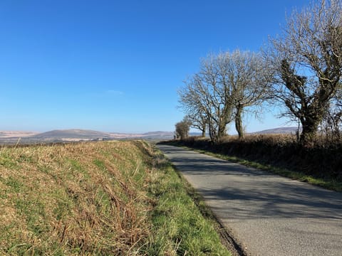 Cottage | Miscellaneous