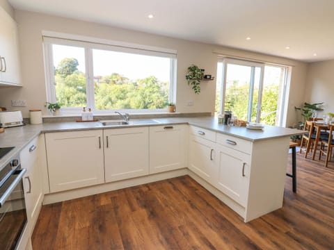 Fridge, dishwasher, electric kettle, toaster