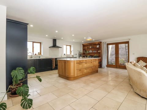 Electric kettle, toaster, cookware/dishes/utensils