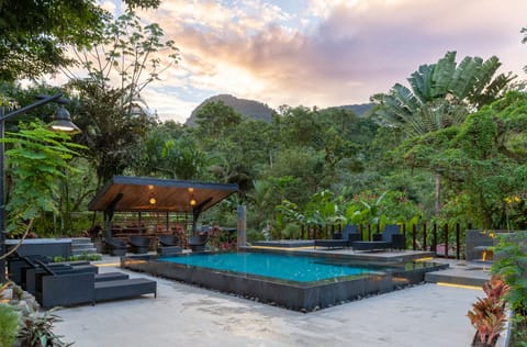 Outdoor pool, sun loungers