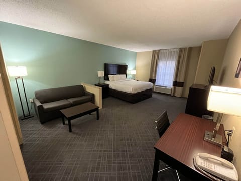 Deluxe Suite, 1 King Bed, Non Smoking, Refrigerator & Microwave | Down comforters, pillowtop beds, desk, laptop workspace