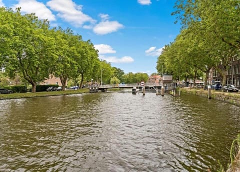 Apartment | View from property