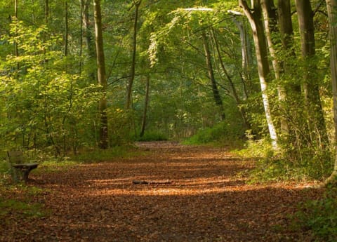 Apartment | View from property