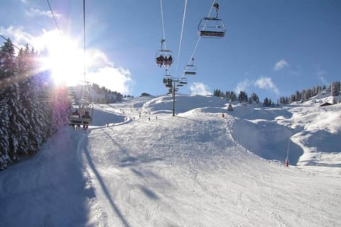 Immediate Surroundings [winter] (&lt;1 km)