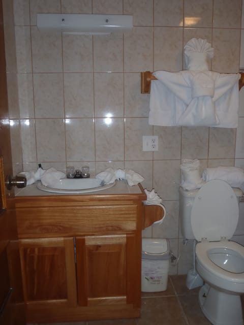 Apartment Ocean View  | Bathroom | Shower, free toiletries, hair dryer, towels
