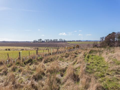 View | Smiddy Cottage, Portmahomack