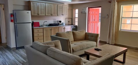 Deluxe Apartment | Private kitchen | Fridge, microwave, oven, stovetop