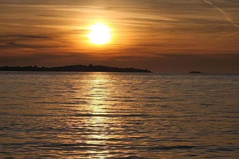 Region [summer] (&gt;5 km)