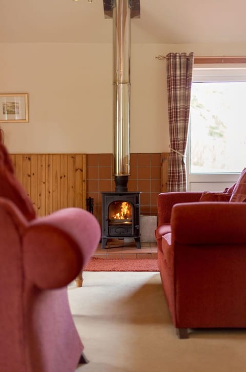 Flooring, Hearth, Furniture, Floor, Wood, Interior Design, Wood-Burning Stove, Wood Flooring, Lighting, Living Room