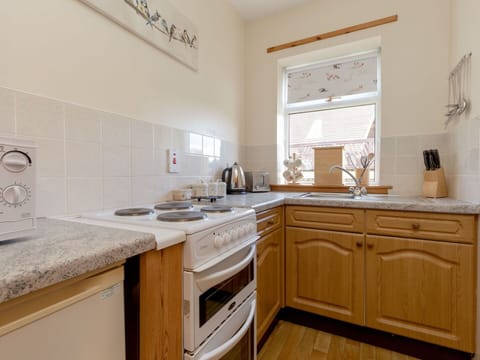 Kitchen, Kitchen Appliance, Countertop, Cabinetry, Major Appliance, Flooring, Furniture, Interior Design, Wood, Kitchen Stove