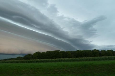 Region [summer] (>5 km)