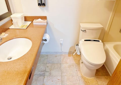 Combined shower/tub, hair dryer, towels, soap