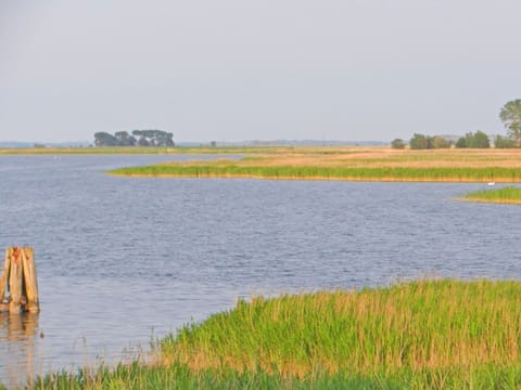 Mobile Home | View from property