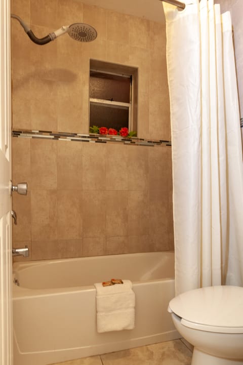 Combined shower/tub, hair dryer, towels