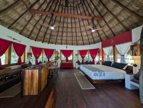 Traditionally built thatch roof one space