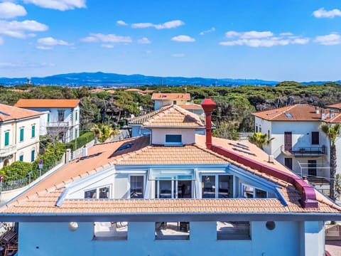 Furniture, Wood, Interior Design, Flooring, Kitchen, Cabinetry, Floor, Room, Major Appliance, Cupboard