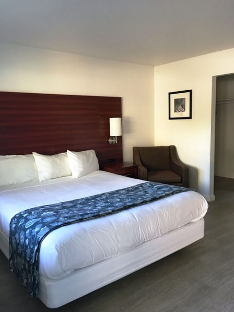 Renovated King | In-room safe, desk, laptop workspace, blackout drapes