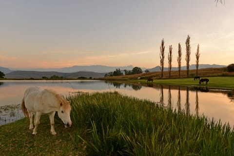 Land view from property