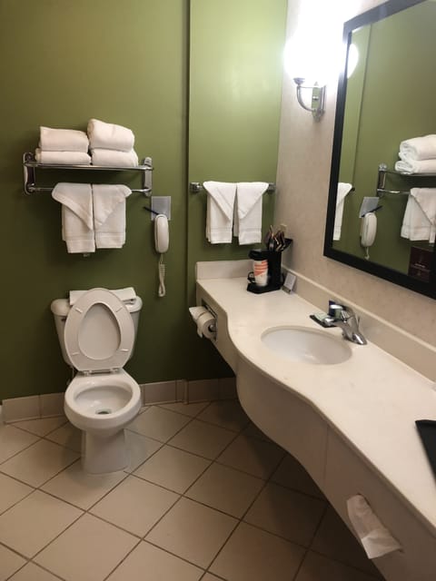 Standard Room, 1 King Bed, Non Smoking | Bathroom | Hair dryer, towels