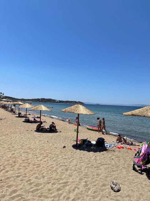 Apartment | 1 bedroom