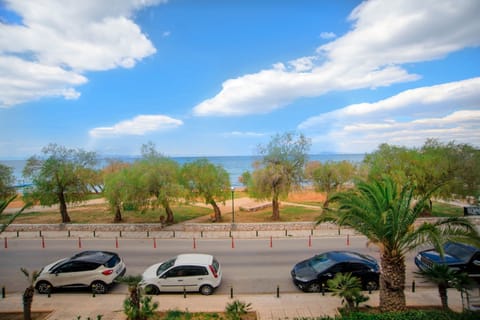 Apartment | 1 bedroom