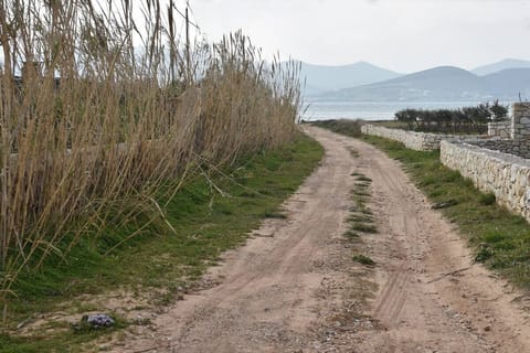 On the beach, white sand