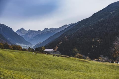 Region [summer] (&gt;5 km)