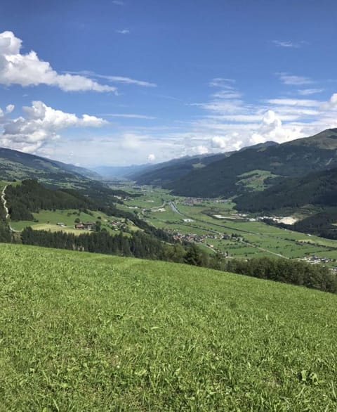 View from Holiday Home [summer]