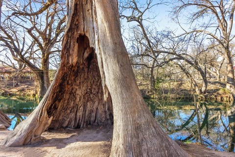 Hill Country nature on the walkways
