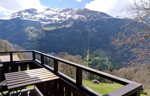 View across the Lauterbrunnen valley from Talblick