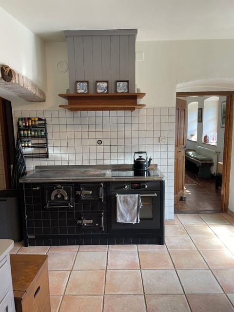 Wood stove with induction & electric oven