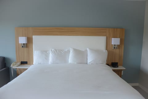 Room, 1 King Bed | Desk, iron/ironing board, rollaway beds, free WiFi