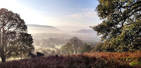 View across misty fields to the Cambrian Mountains
